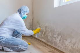 Best Comprehensive Air Testing for Mold Contaminants  in Camden, OH